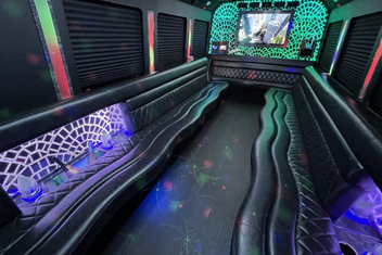 Lehi Limo Bus Interior